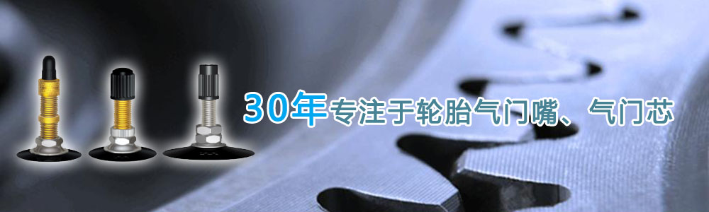 30年专注于轮胎气门嘴、气门芯